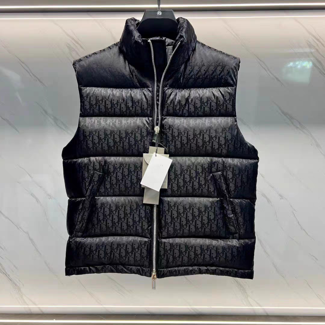 dior down jacket 01